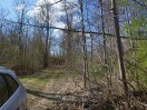 Foto: umgestürzter Baum 